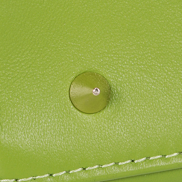 jumbo lady dior lambskin leather 6325 light green